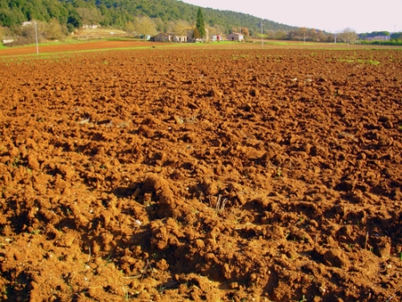 Terra di Siena